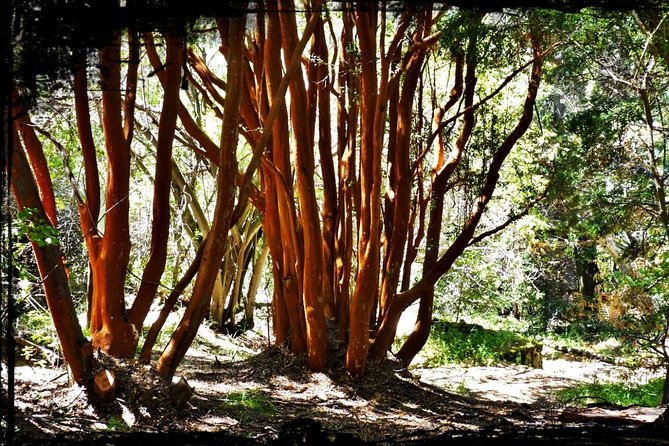 10 Secrets of Bariloche, Nahuel Huapi, and Patagonia - Meeting at the Civic Center at 9:00 am