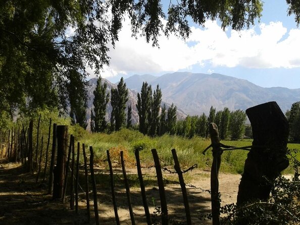 Andes Day Trip from Mendoza Including Aconcagua, Uspallata and Puente del Inca - Key points to know before booking