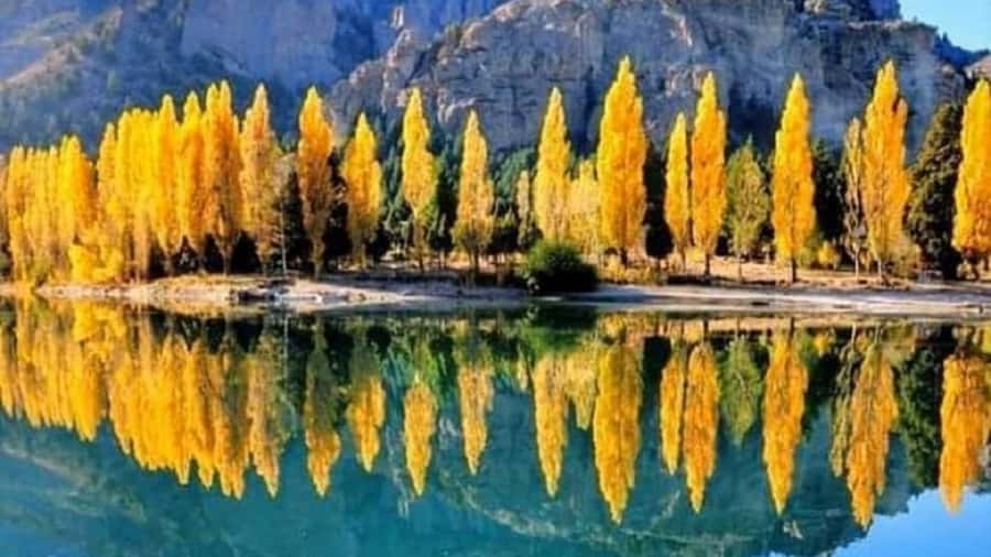 Bariloche: 7 Lakes & San Martin de Los Andes Road Trip - Why the Seven Lakes Route is worth a full day