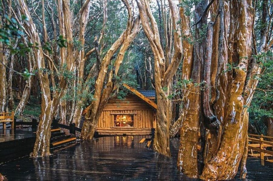 Bariloche: Arrayanes Forest and Victoria Island Tour - Should you book it?