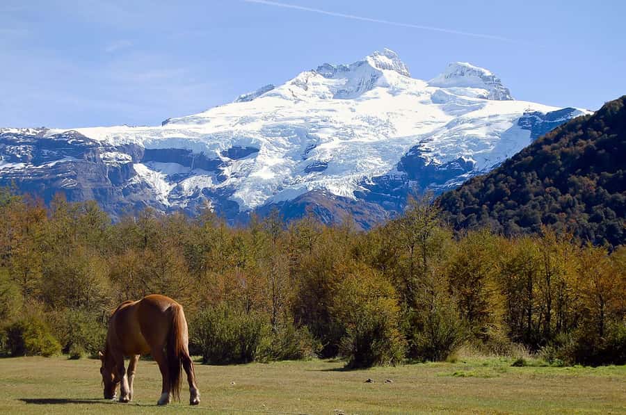 Bariloche: Cerro Tronador and Ventisquero Negro Glacier Tour - From Bariloche to the southern road