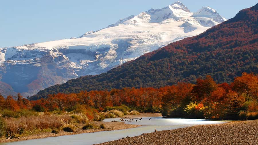 Bariloche: Cerro Tronador Tour - Pampa Linda, the useful base at the mountain