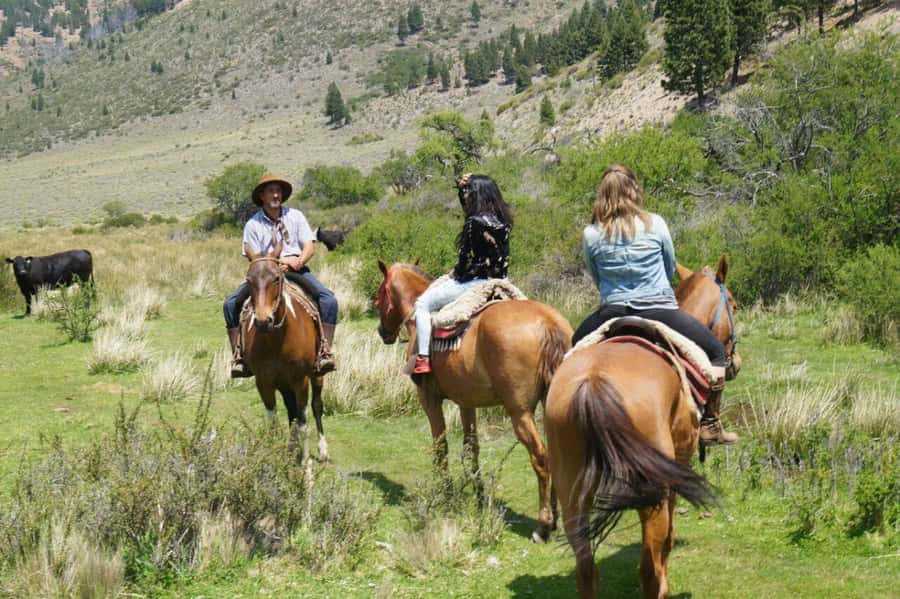 Bariloche: Guided horseback rides in the Patagonian steppe - Quick points for deciding