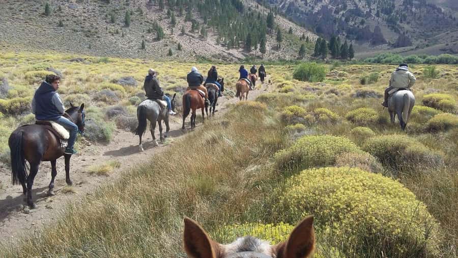Bariloche: Guided horseback rides in the Patagonian steppe - Two hours across the Patagonian steppe