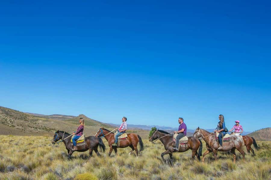 Bariloche: Guided horseback rides in the Patagonian steppe - Breakfast with a lesson about Patagonia