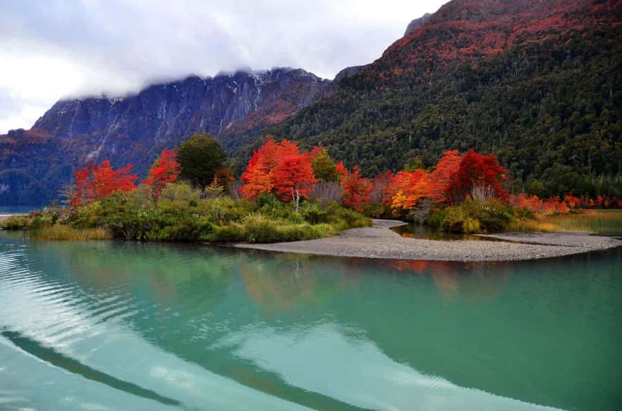 Bariloche: Puerto Blest and Cascada de los Cántaros (Waterfall of the Cantaros) - Puerto Blest and the short ride to Lake Frías