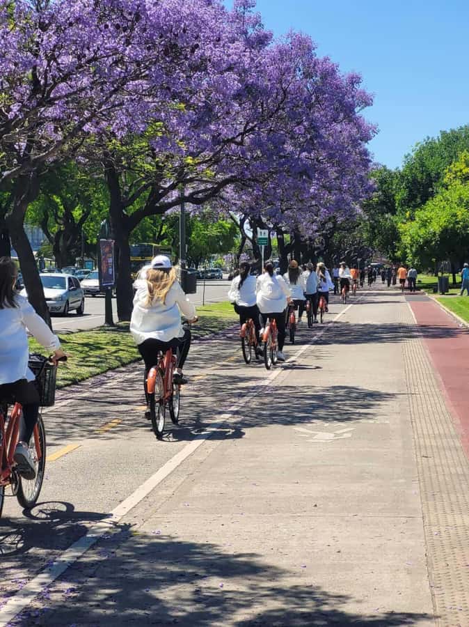 Bike Tour: Buenos Aires to the North - The Law School and the French Embassy