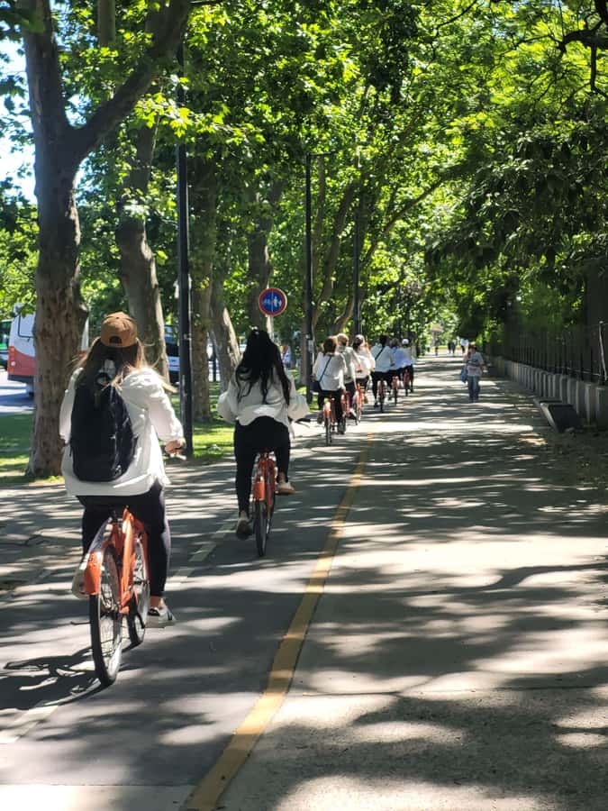 Bike Tour: Buenos Aires to the North - Palermo Chico and the city’s grand residences