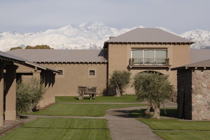 Bike Tour in Mendoza Wine Country - Key Points Before You Book