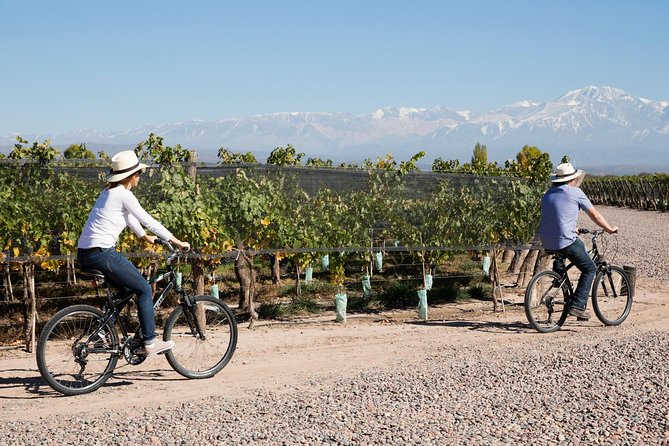 Bike Tour in Mendoza Wine Country - From Mendoza Hotel Pickup to Vistalba