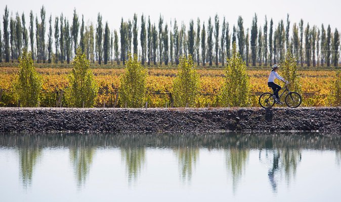 Bike Tour in Mendoza Wine Country - Carmine Granata: A First Taste of Mendoza Wine