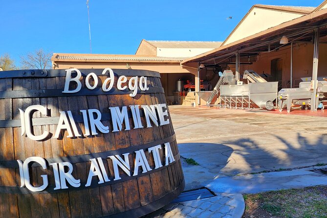 Bike Tour in Mendoza Wine Country - Bodega Vistalba and the Variety of the Day
