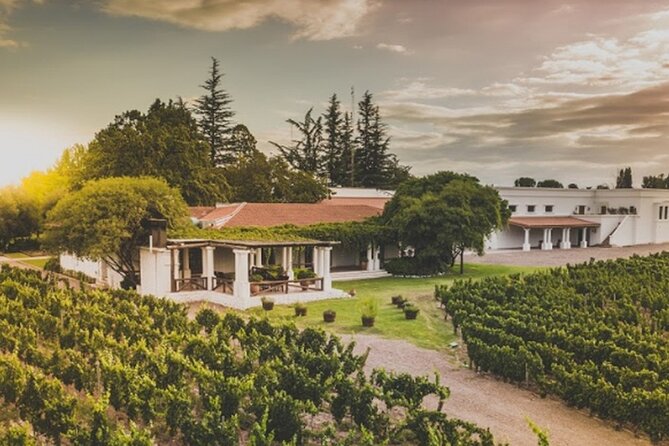 Bike Tour in Mendoza Wine Country - Nieto Senetiner: The Long Lunch Stop