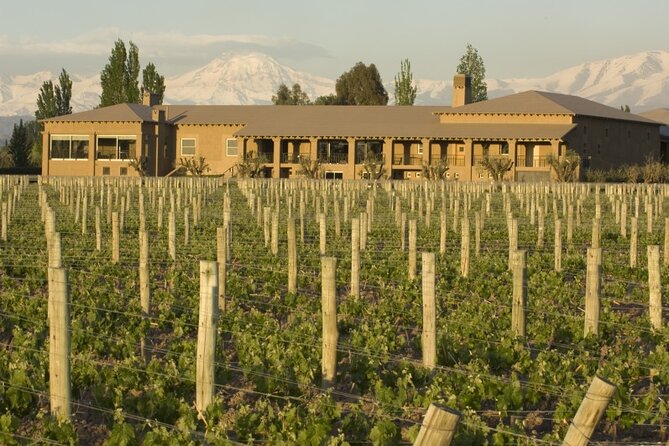 Bike Tour in Mendoza Wine Country - Guides, Group Size, and Language