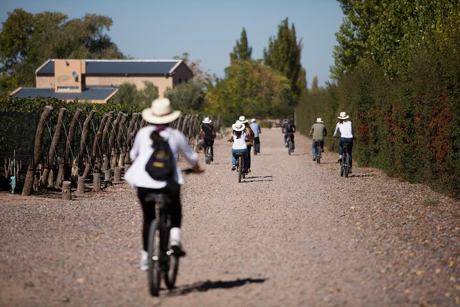 Bike Tour in Mendoza Wine Country - Riding Through Vistalba’s Tree-Lined Streets