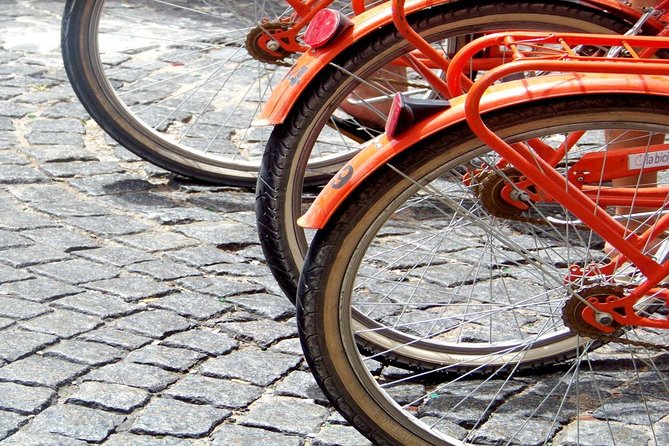 Buenos Aires Bike Tour: San Telmo and La Boca Districts - Plaza de Mayo: the city’s political center