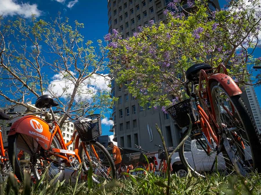 Buenos Aires Bike Tour: South or North Circuit - Choosing between the South and North Circuits
