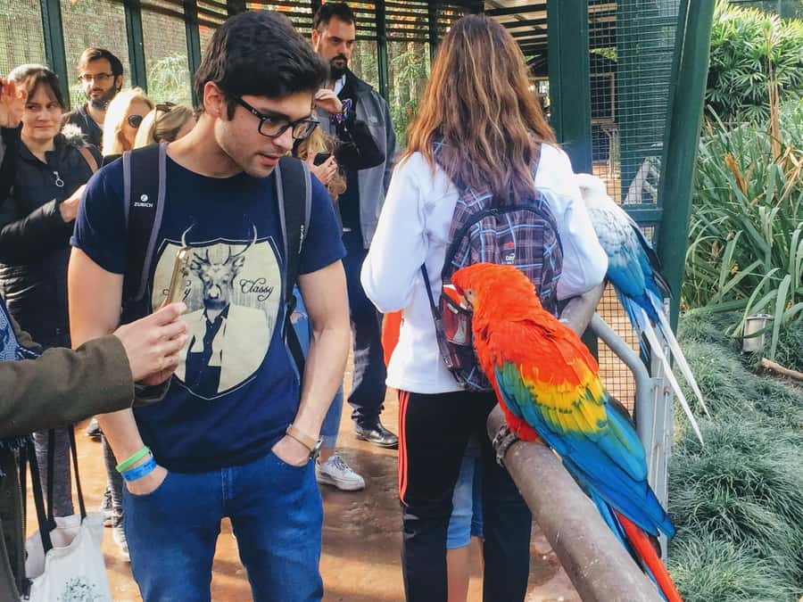 Buenos Aires: Bioparque Temaiken with Transfers - Five hours to explore Temaikèn