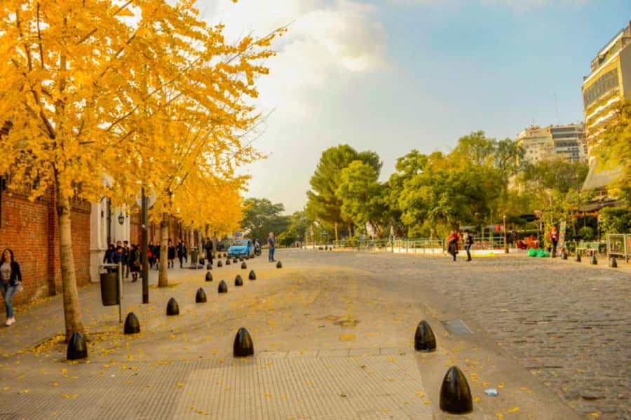 Buenos Aires: City Tour Porteno with Wine Tasting - What the five-hour Porteño tour really offers