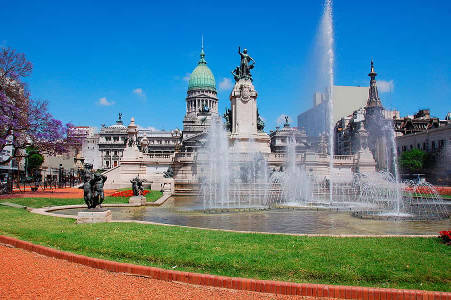 Buenos Aires City Tour with Luxury Lunch - San Telmo’s narrow streets
