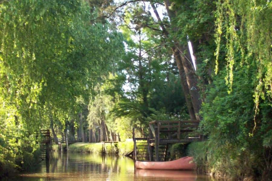 Buenos Aires: Classic Delta of Tigre Boat Tour - Shopping at Puerto de Frutos