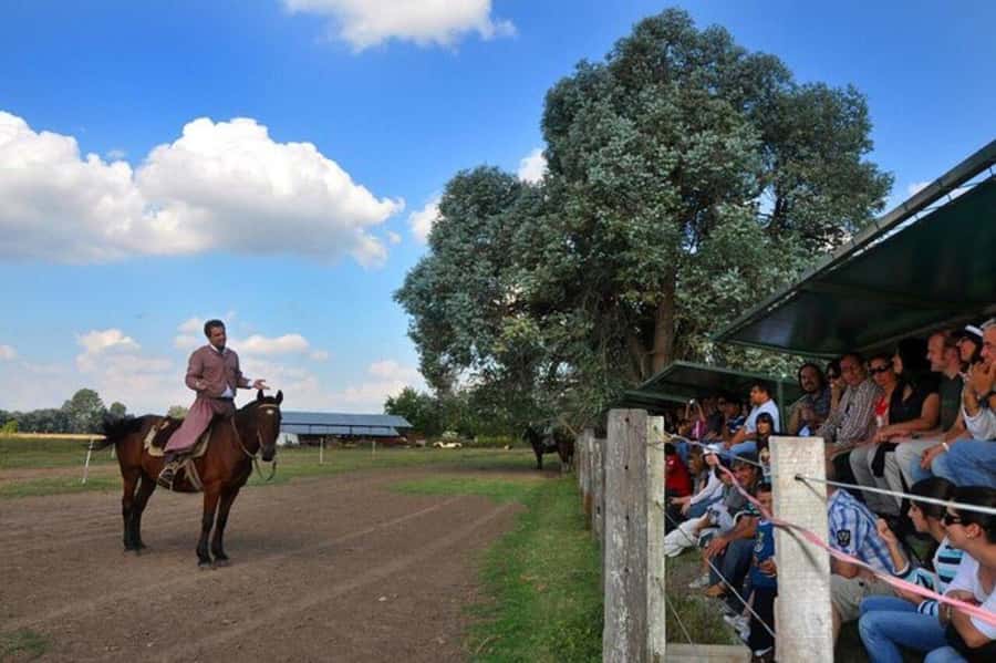 Buenos Aires: Don Silvano Ranch Gaucho Day Trip - Key points to know before you go