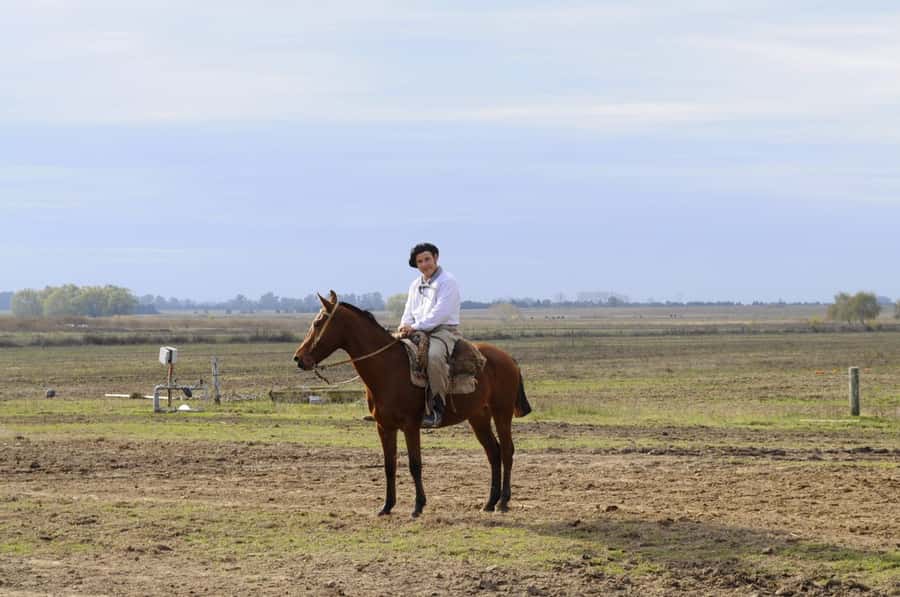 Buenos Aires: Don Silvano Ranch Gaucho Day Trip - Carriage rides and gaucho horsemanship