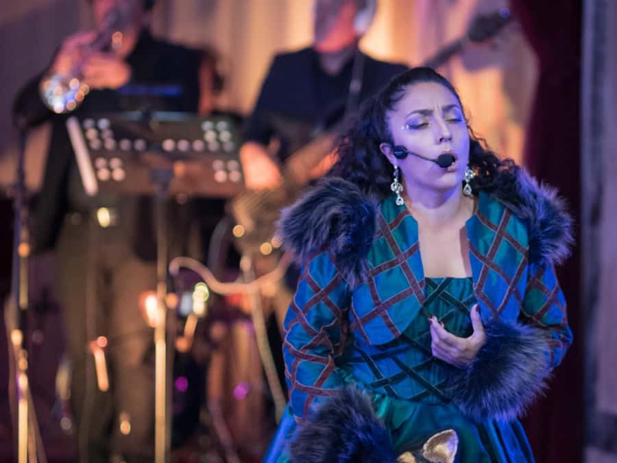 Buenos Aires: Gala Lírica Tickets at Palacio Paz. - Is the $45 price good value?