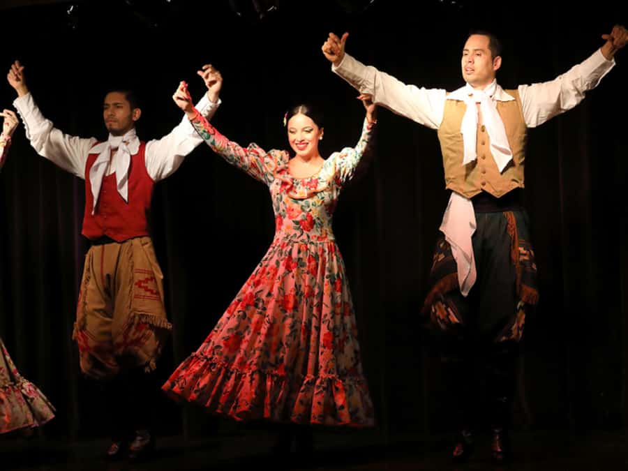 Buenos Aires: Live Michelangelo Tango & Folklore Show Ticket - Choosing between the standard and VIP tickets