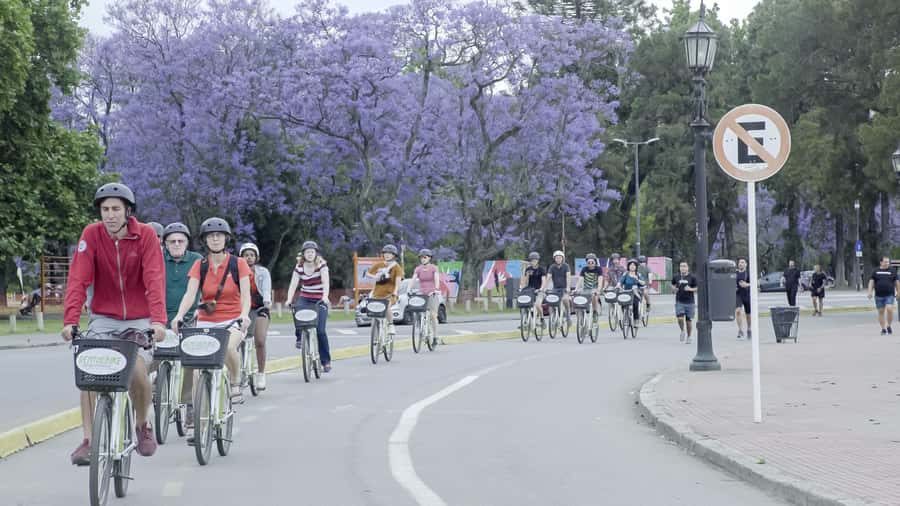 Buenos Aires: North or South Buenos Aires Bike Tour - Recoleta and Palermo: the North route’s best stretch