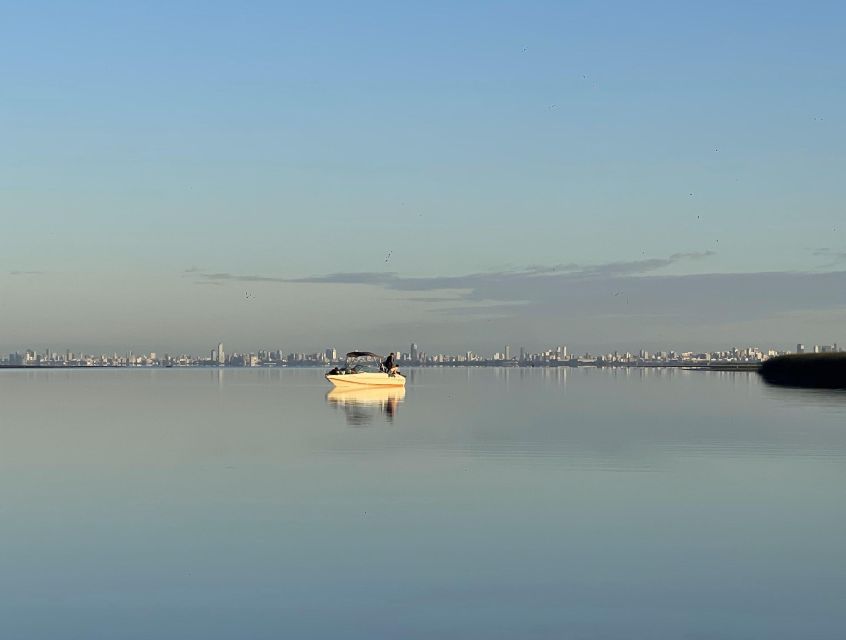 Buenos Aires: Private Delta Boat Tour with Barbecue onboard - Booking details worth handling early