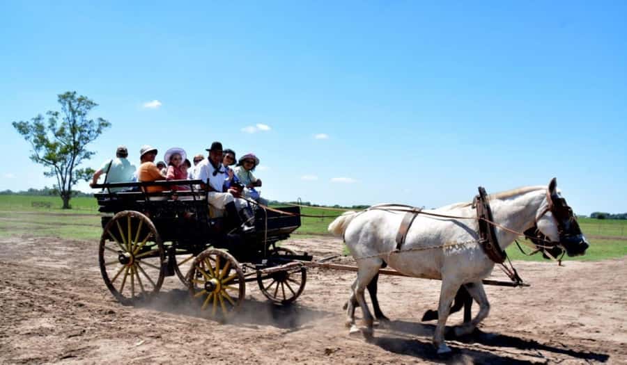 Buenos Aires: Santa Susana Ranch Day Tour, BBQ & Shows - The pulpería welcome: wine, empanadas, and country manners