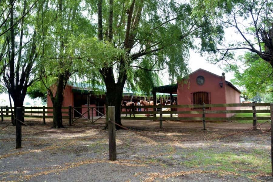 Buenos Aires: Santa Susana Ranch Day Tour, BBQ & Shows - Mate cocido and the afternoon pause