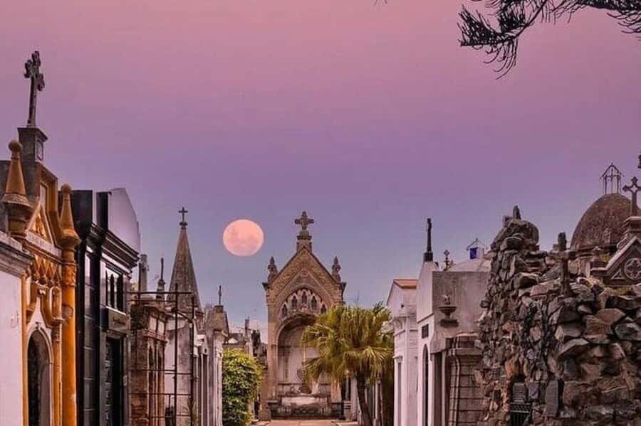 Buenos Aires: Small Group City Highlights Tour - Avenida 9 de Julio and Buenos Aires’ downtown icons