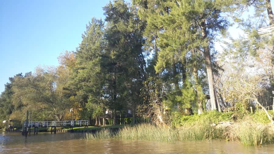 Buenos Aires: Ticket - Classic Delta of Tigre Boat Tour - Commentary in Spanish and English