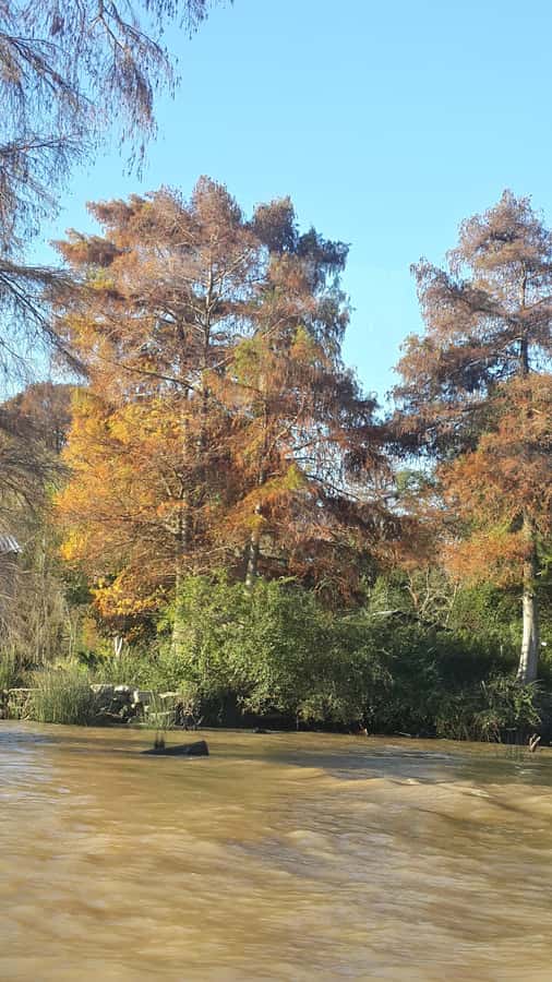 Buenos Aires: Ticket - Classic Delta of Tigre Boat Tour - Should You Book the Classic Delta Boat Tour?