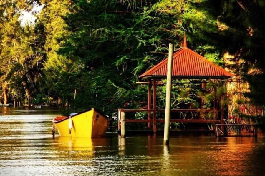Buenos Aires: Tigre Delta Half-Day Tour with Navigation - Key points to know before booking