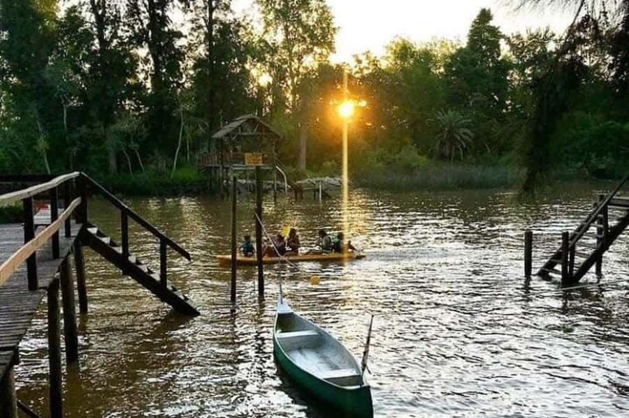 Buenos Aires: Tigre Delta Half-Day Tour with Navigation - Puerto de Frutos in 25 to 30 minutes