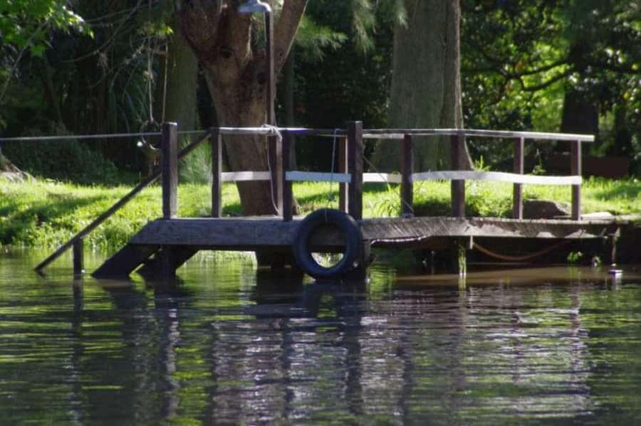 Buenos Aires: Tigre Delta Premium Boat Tour - Who will enjoy this Tigre Delta outing most?