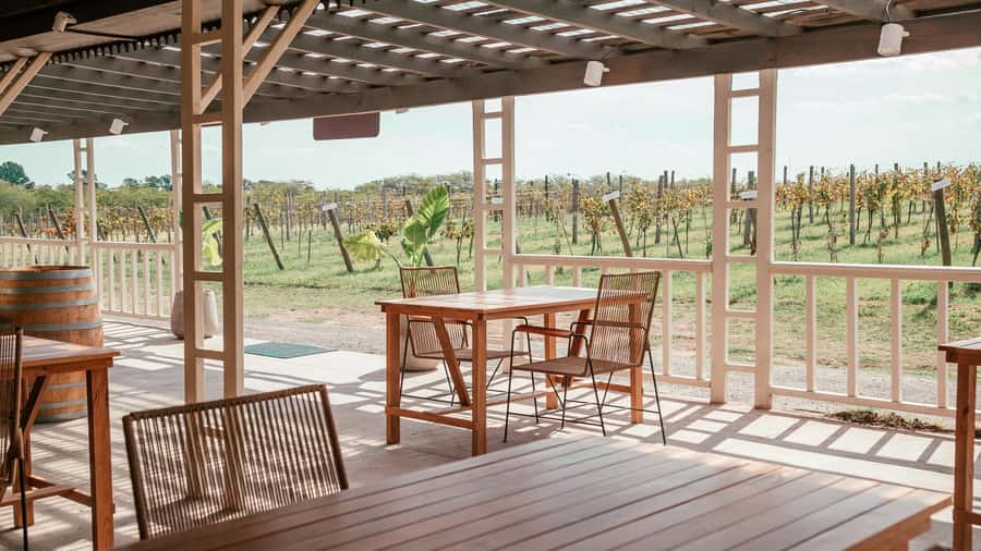 Buenos Aires: Wine Tasting and Lunch at Bodega Gamboa - Key points to know before booking