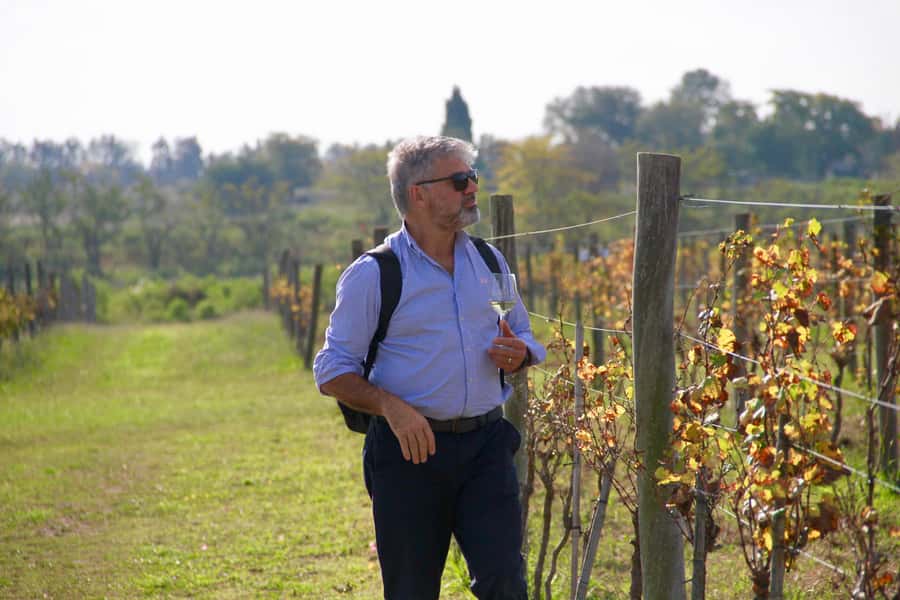 Buenos Aires: Wine Tasting and Lunch at Bodega Gamboa - Final call: should you book Bodega Gamboa?