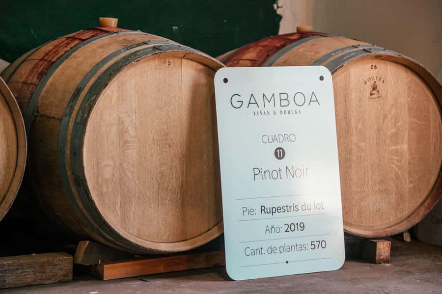 Buenos Aires: Wine Tasting and Lunch at Bodega Gamboa - The lunch is a major part of the value
