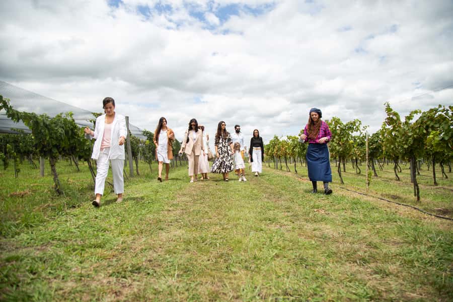 Buenos Aires: Wine Tasting and Lunch at Bodega Gamboa - Is $169 a fair price?