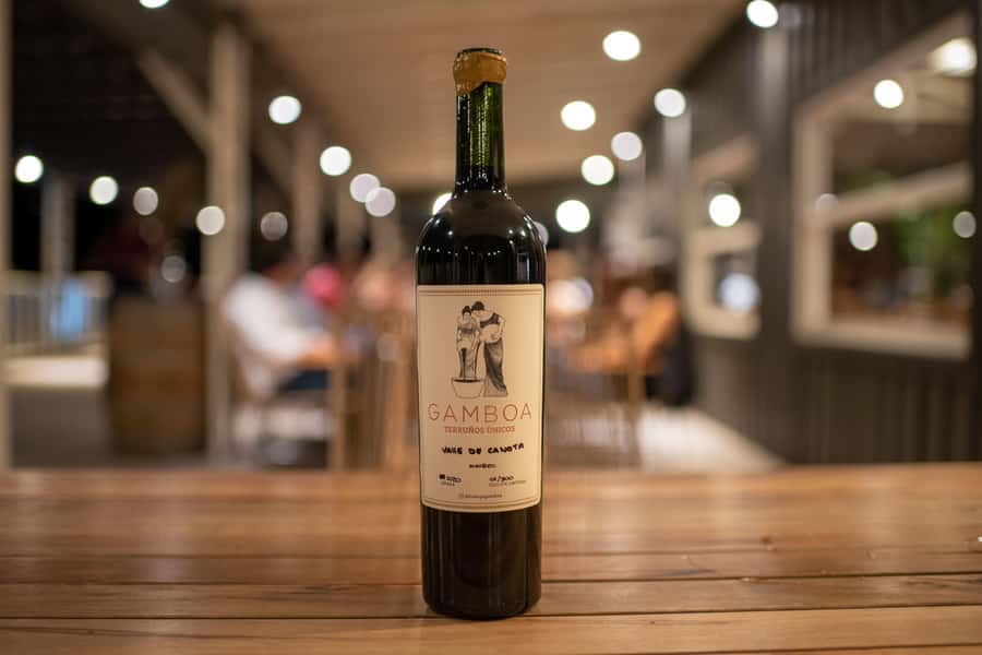 Buenos Aires: Wine Tasting and Lunch at Bodega Gamboa - Practical advice for a smoother visit