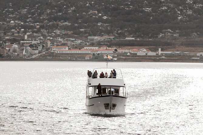 Catamaran Tour through the Beagle Channel and Penguins in Isla Martillo - Isla de los Lobos and the sea lions