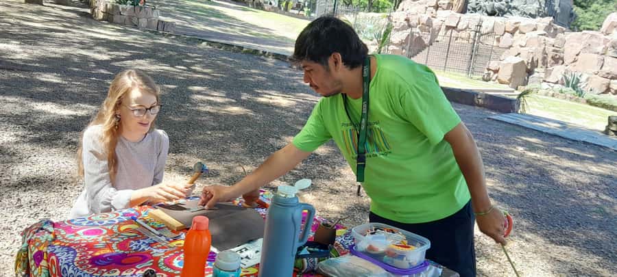City of Salta: Alpaca and leather handicraft workshop in the open air! - A Good Value at $22