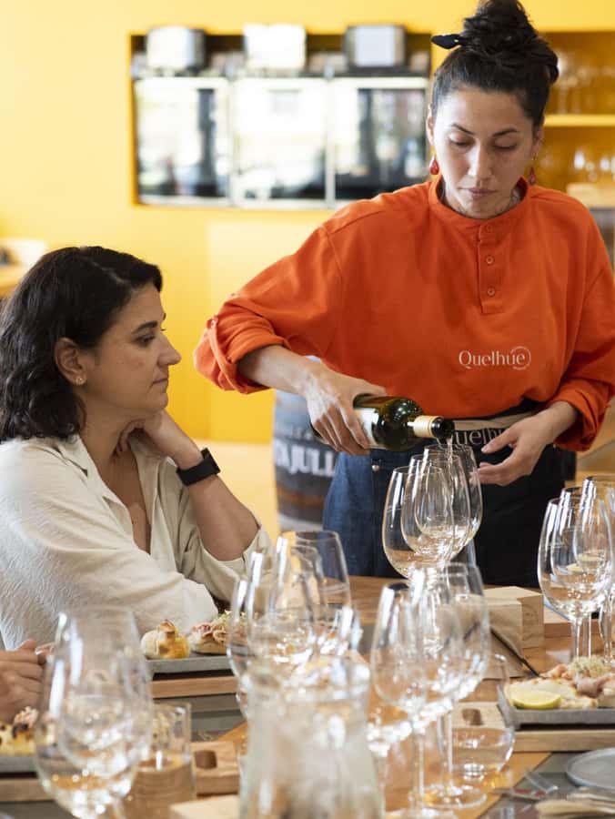 City tour and Wine tasting - Three Patagonian wines and cheese
