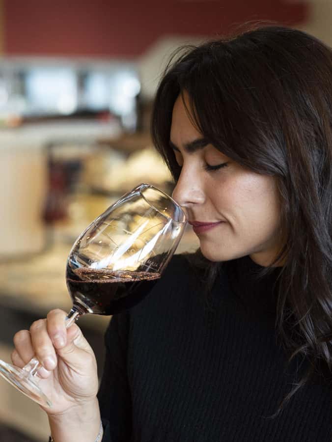 City tour and Wine tasting - La Misión neighborhood and the Ushuaia sign