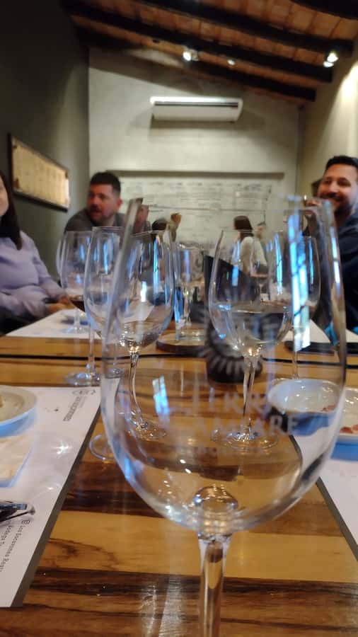 Córdoba: Wine Tour Privado a Colonia Caroya - Día completo - Tasting Córdoba wines with a trained guide