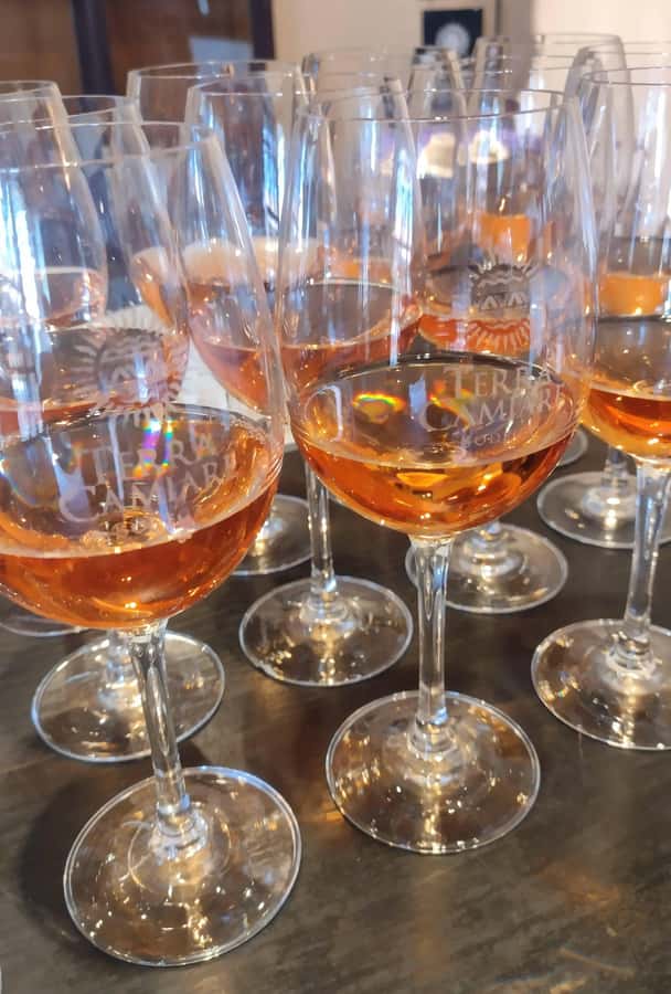 Córdoba: Wine Tour Privado a Colonia Caroya - Día completo - A three-course lunch paired with local bottles